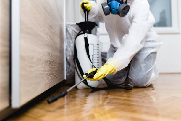Trusted Security Widefield, CO Pest Control Experts