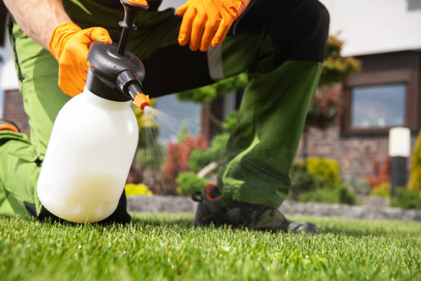 Best Bird Control  in Security Widefield, CO