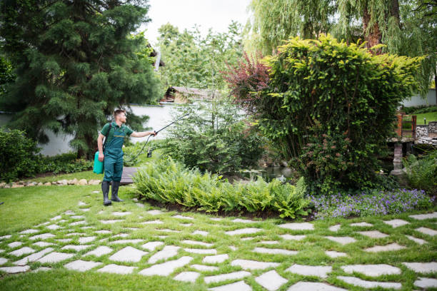 Best Wildlife Control Services  in Security Widefield, CO
