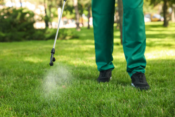 Best Local Pest Control Services  in Security Widefield, CO