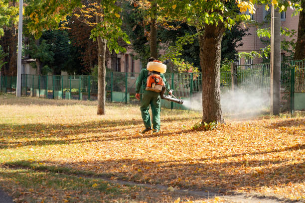 Best Mosquito Control Services  in Security Widefield, CO