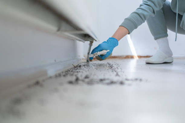 Best Best Pest Control Companies  in Security Widefield, CO