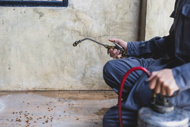 Best Pest Inspection Near Me  in Security Widefield, CO